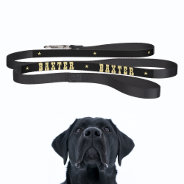 Custom Cool Black Gold Stars Dog Puppy Doggy Name Pet Leash at Zazzle