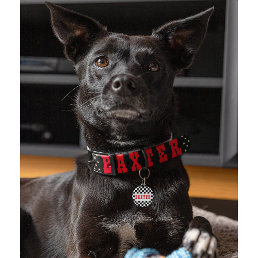 Custom Cool Black Gold Stars Red Dog Puppy Name Pet Collar