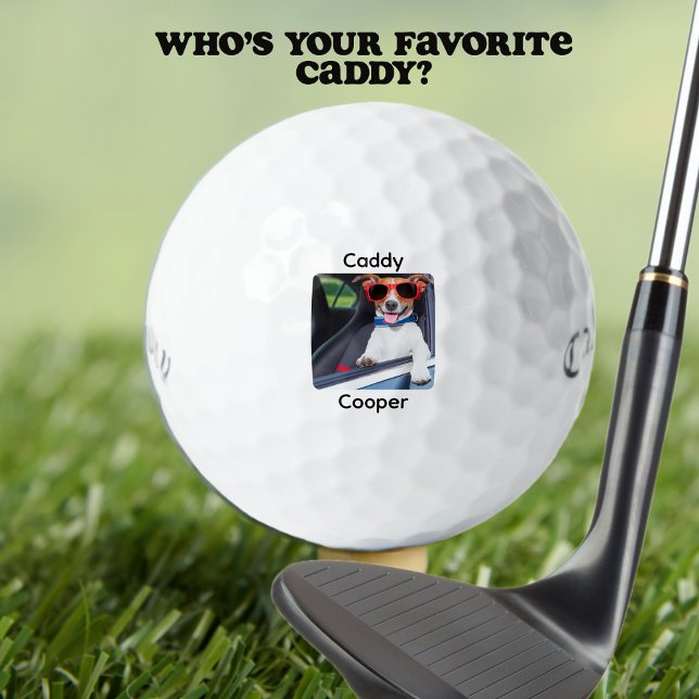 Custom Create Your Own Dog Photo Personalized  Golf Balls (Funny Pet Photo Personalized With Caddy Name. Fun for all types of golfers. )