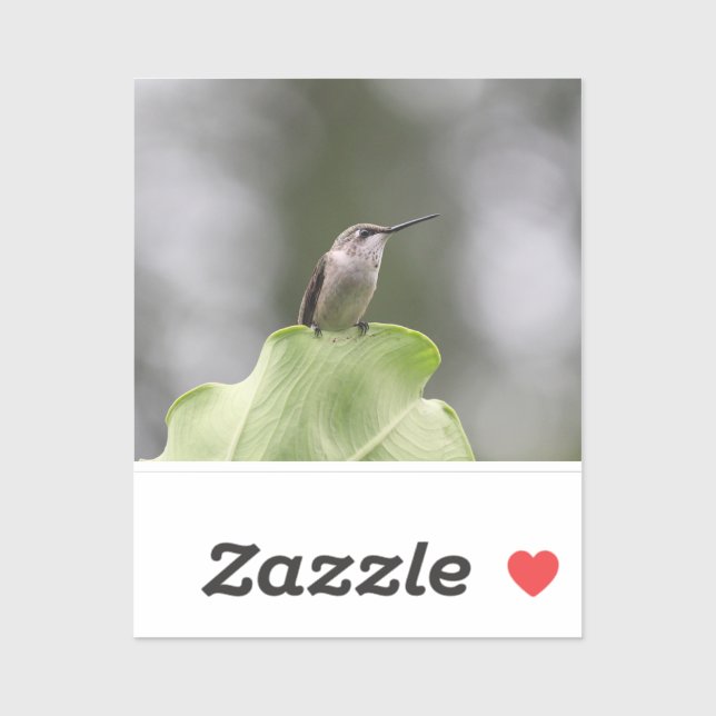 Custom-Cut Vinyl Sticker (Sheet)