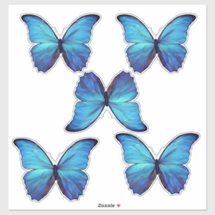 Custom Cut Vinyl Stickers - 5 Blue Morpho Butterfl