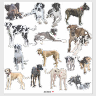 Custom-Cut Vinyl Stickers Great Danes
