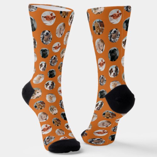 Custom Cute 8_Photo Pet Collage  Orange Socks