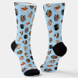 Custom Cute 8-Photo Pet Collage | Pastel Blue Socks