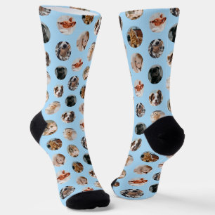 Custom Cute 8-Photo Pet Collage Pastel Blue Socks