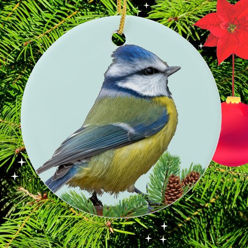 Custom Cute Blue Yellow Bird Photo Ornament