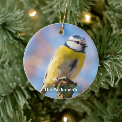 Custom Cute Blue Yellow Bird Photo Personalized Ceramic Ornament