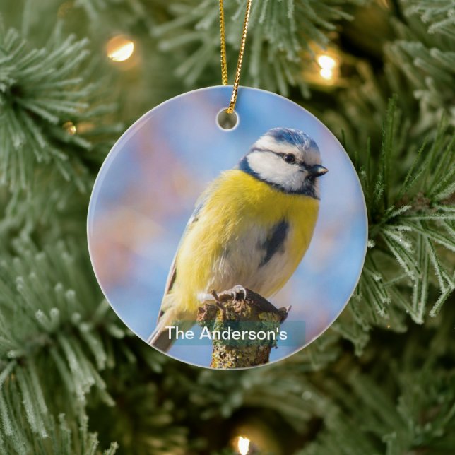 Custom Cute Blue Yellow Bird Photo Personalized Ceramic Ornament (Tree)