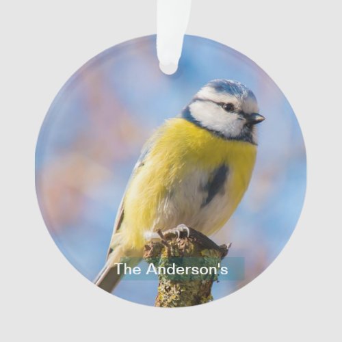 Custom Cute Blue Yellow Bird Photo Personalized Ornament