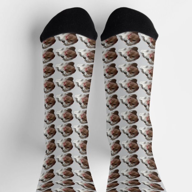 Custom Cute Cat image Pattern Socks (Top)