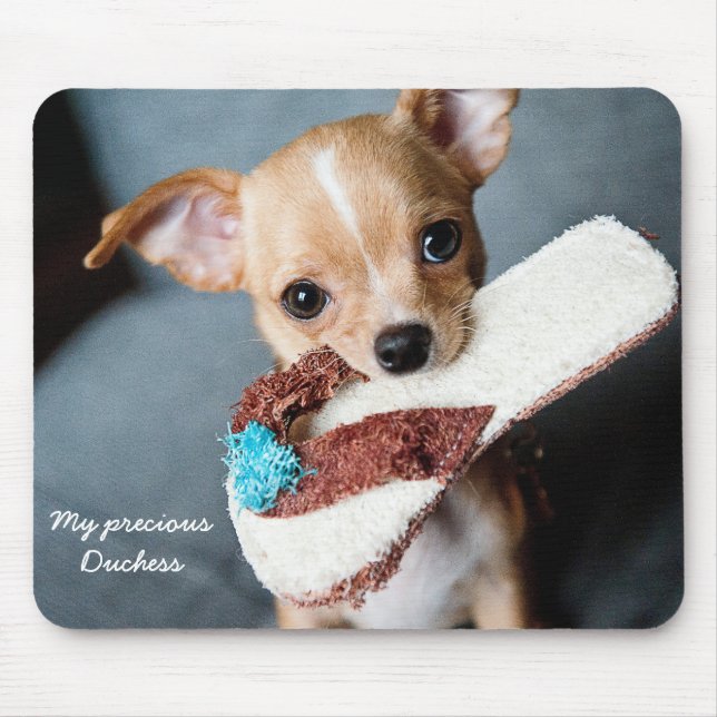 Custom Cute Chihuahua Mouse Pad Photo (Front)