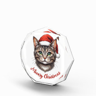 Custom Cute Christmas Cat with Santa Hat Acrylic Award