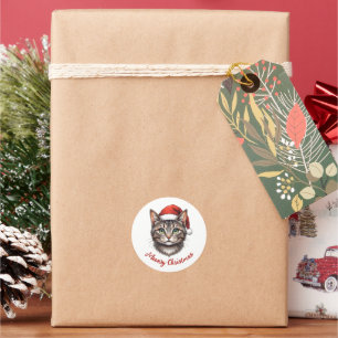 Custom Cute Christmas Cat with Santa Hat Classic Round Sticker