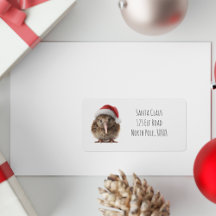 Custom Cute Christmas Kiwi Bird Red Santa Hat