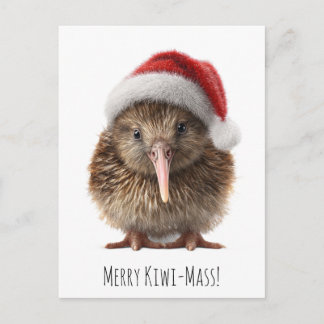 Custom Cute Christmas Kiwi Bird Red Santa Hat Postcard