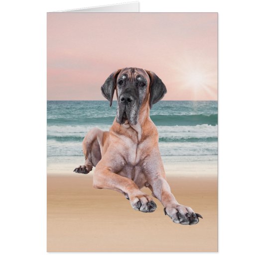 Custom Cute Great Dane Dog Sitting on Beach (Front)