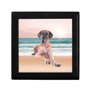 Custom Cute Great Dane Dog Sitting on Beach Jewelry Box