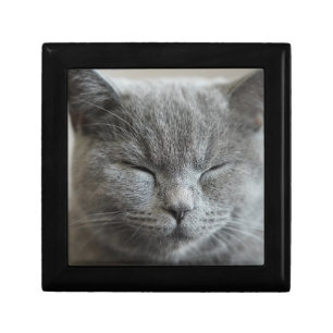 Custom Cute Grey Kitty Cat Photo Gift Box