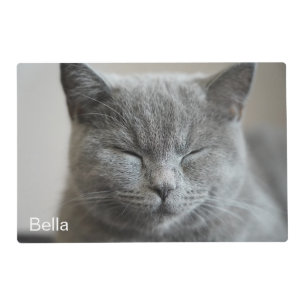 Custom Cute Grey Kitty Cat Photo Placemat