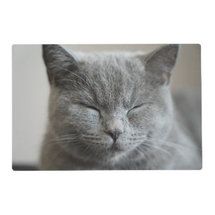 Custom Cute Grey Kitty Cat Photo Placemat