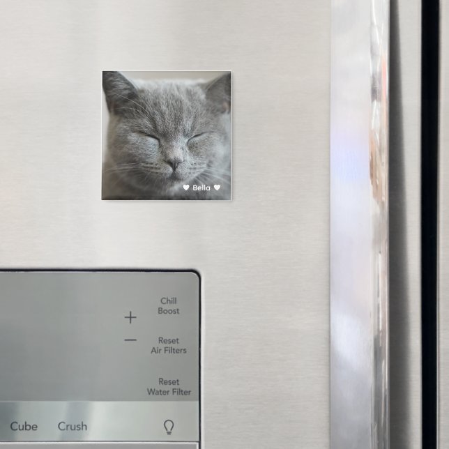 Custom Cute Grey Kitty Face Photo Magnet (In Situ (Fridge))