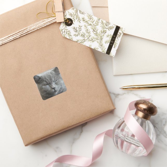 Custom Cute Grey Kitty Face Photo Square Sticker (Gifting)
