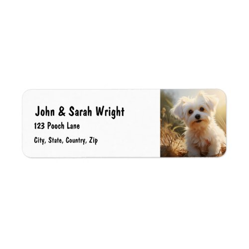 Custom Cute Maltese Dog Address Label