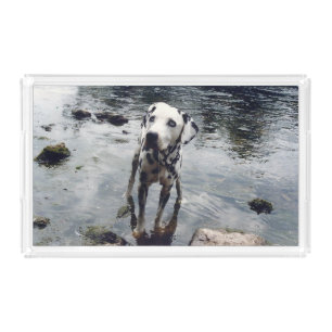 Custom Cute Pet Friend Photo Upload Dog Image Acrylic Tray