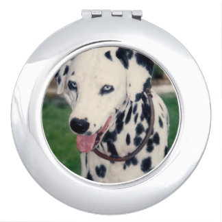 Custom Cute Pet Friend Photo Upload Dog Image Compact Mirror