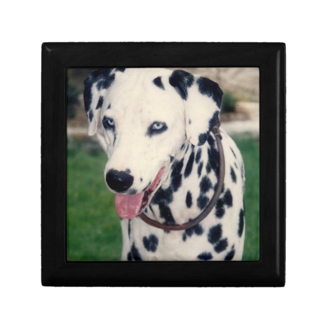 Custom Cute Pet Friend Photo Upload Dog Image Gift Box (Front)
