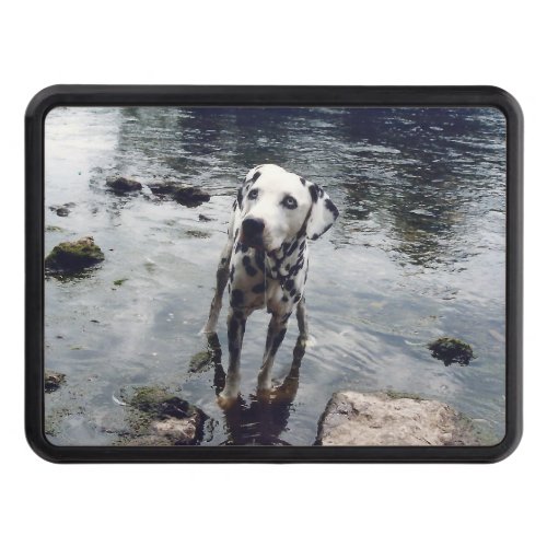 Custom Cute Pet Friend Photo Upload Dog Image Hitch Cover