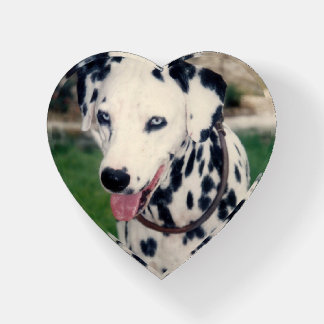 Custom Cute Pet Friend Photo - Upload Dog Image Paperweight