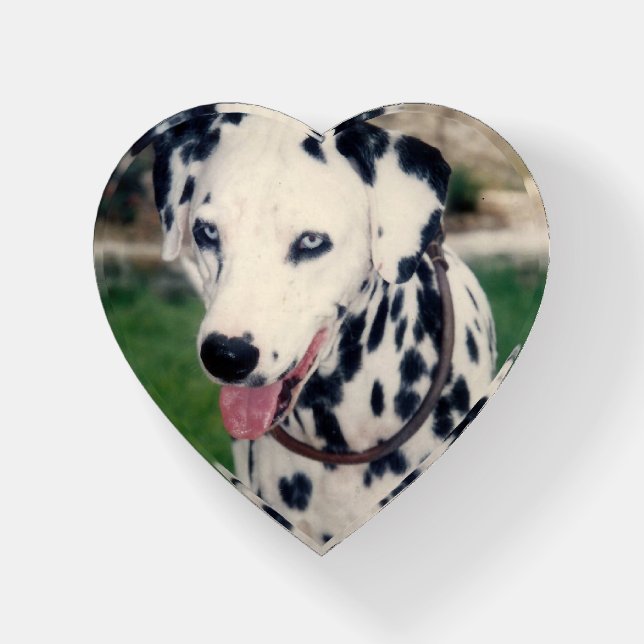 Custom Cute Pet Friend Photo - Upload Dog Image Paperweight (Front)