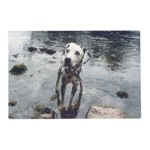 Custom Cute Pet Friend Photo Upload Dog Image Placemat