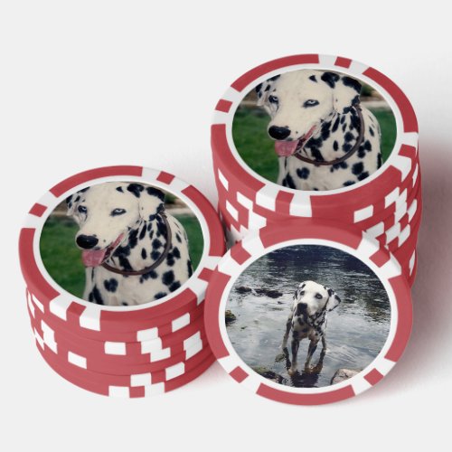Custom Cute Pet Friend Photo _ Upload Dog Image Poker Chips