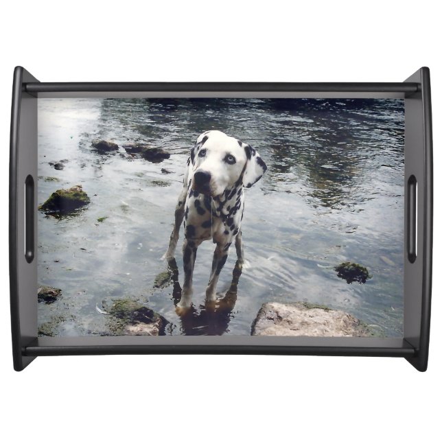 Custom Cute Pet Friend Photo Upload Dog Image Serving Tray (Front)