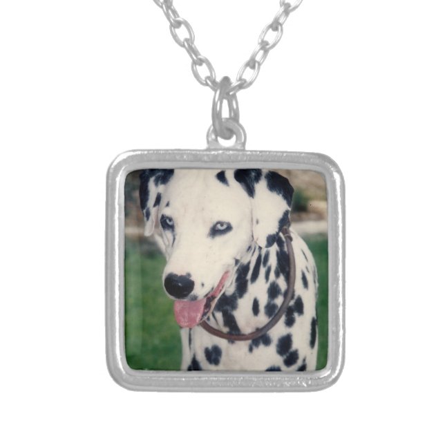 Custom Cute Pet Friend Photo Upload Dog Image Silver Plated Necklace (Front)