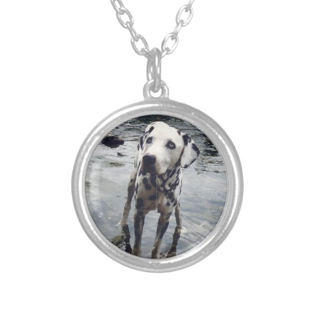 Custom Cute Pet Friend Photo Upload Dog Image Silver Plated Necklace (Front)