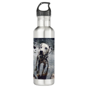 Custom Cute Pet Friend Photo Upload Dog Image Stainless Steel Water Bottle