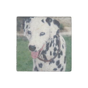 Custom Cute Pet Friend Photo Upload Dog Image Stone Magnet