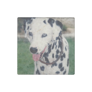 Custom Cute Pet Friend Photo Upload Dog Image Stone Magnet