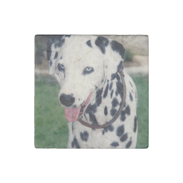 Custom Cute Pet Friend Photo Upload Dog Image Stone Magnet (Front)