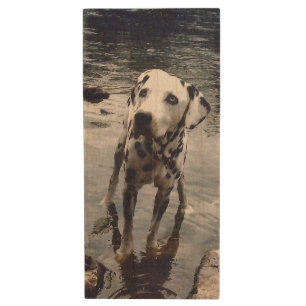 Custom Cute Pet Friend Photo Upload Dog Image Wood Flash Drive