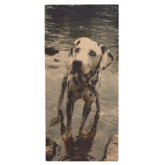 Custom Cute Pet Friend Photo Upload Dog Image Wood Flash Drive
