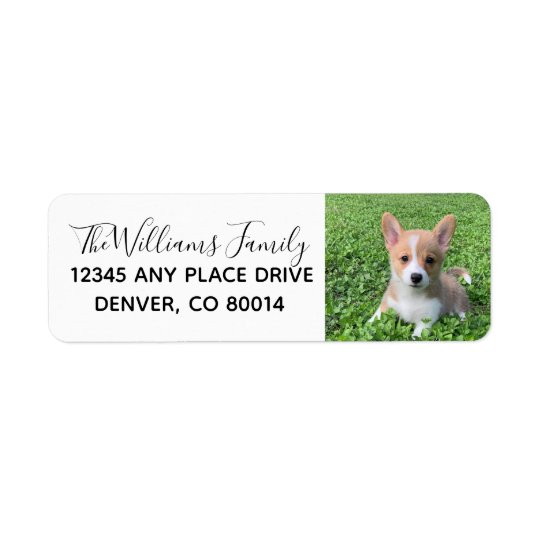 Custom Cute Pet Photo Dog Owner Photograph Label | Zazzle.com