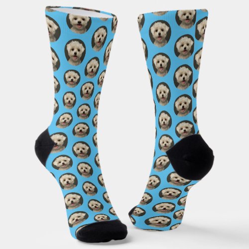 Custom Cute Pet Photo Pattern Light Blue Socks