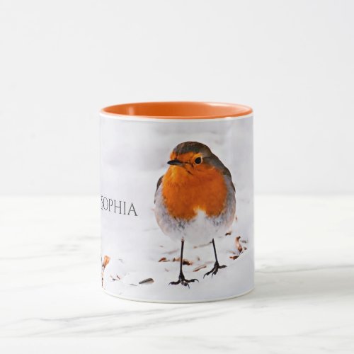 Custom cute Robin bird in snow add name Mug