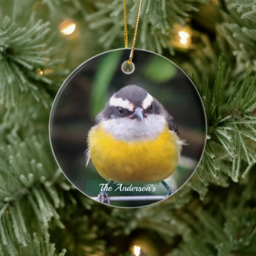 Custom Cute Yellow Breast Bird Photo Personalized Ceramic Ornament