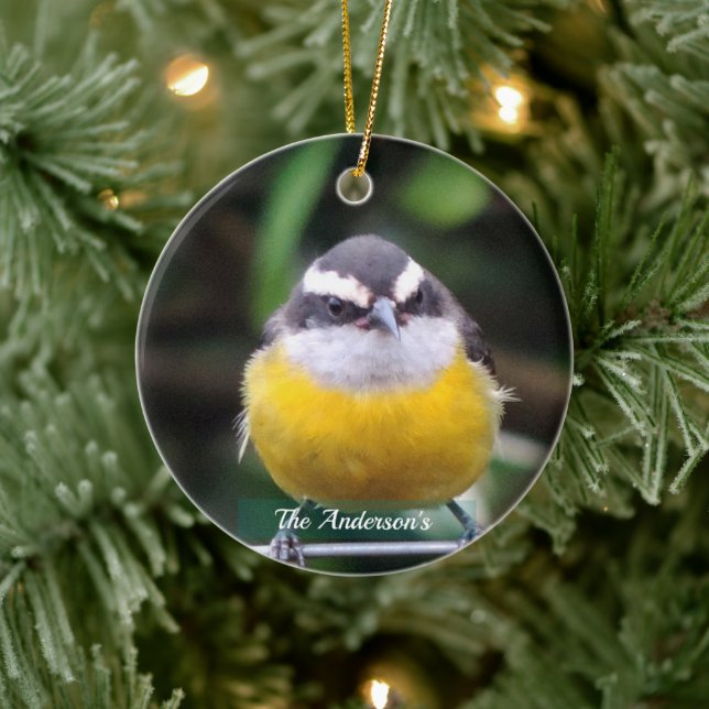 Custom Cute Yellow Breast Bird Photo Personalized Ceramic Ornament (Tree)