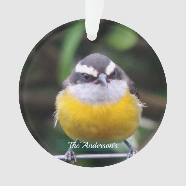 Custom Cute Yellow Breast Bird Photo Personalized Ornament (Front)
